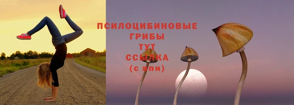 амф Алексеевка