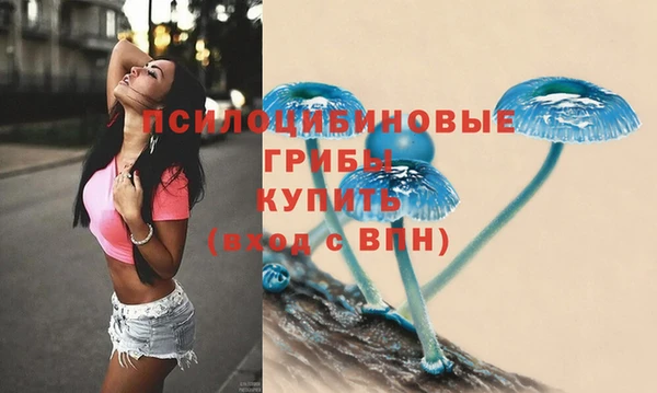 спайс Алзамай