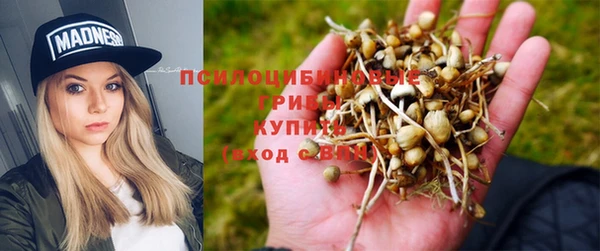 спайс Алзамай