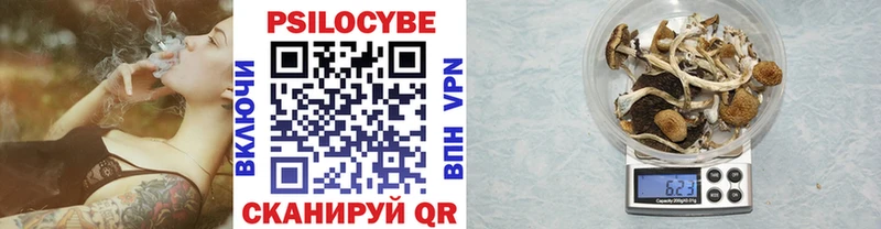 MEGA ONION  Усть-Лабинск  сайты даркнета Telegram  Галлюциногенные грибы Psilocybine cubensis 