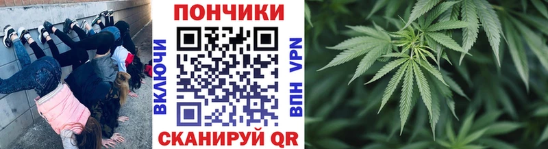 Конопля гибрид  kraken как зайти  Усть-Лабинск 